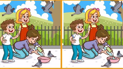 أتحداك تعرف تجاوب.. ابحث عن 3 اختلافات بين نسختي الصورة في 12 ثانية