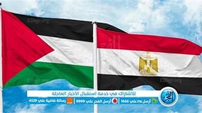عاجل - مصر تكشف عن أسباب تأخر دخول المساعدات الإنسانية إلى قطاع غزة (فلسطين اليوم تويتر)