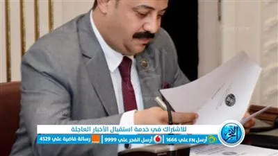 عضو صناعة النواب يطالب الدولة بدعم صناعة المواد الخام لتشجيع المنتج المحلي