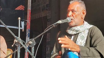 عروض فنية ولقاءات توعوية في ختام فعاليات قصور الثقافة بالدقهلية