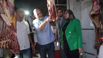 مديرية طب المنوفية: ضبط 1300 كجم لحوم وأسماك غير صالحة للاستهلاك الآدمي 