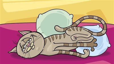 صورتي القط بها اختلاف بسيط... هل يمكنك العثور عليه في أقل من 7 ثوان فقط؟