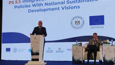 وزير الري: نصيب الفرد من المياه انخفض من ٢٠٠٠ متر مكعب إلى ٥٠٠ 