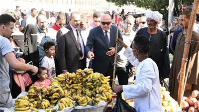 ضمن مبادرة تخفيض الأسعار.. محافظ قنا يجرى جولة ميدانية على عدد من الأسواق 