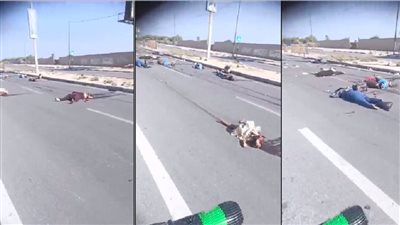 محمود الهباش: إسرائيل تخطت كل الخطوط الحمراء.. ودهست كل القوانين الدولية