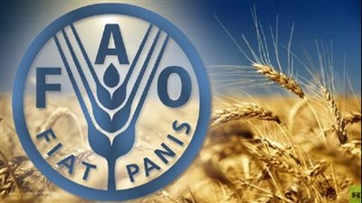 مؤشر أسعار الغذاء العالمية ينخفض في أكتوبر لأدنى مستوياته