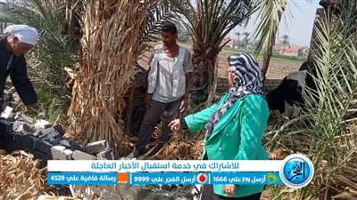 رئيس مركز أبشواي: وقف أعمال البناء المخالف والتصدي للتعديات 