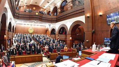 عضو بالشيوخ: رفع وعي الشعب المصري ضرورة لمواجهة التحديات