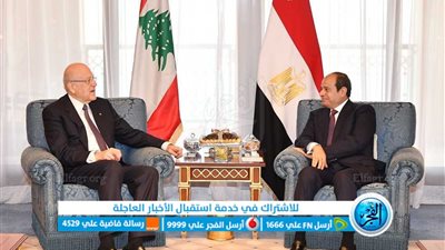 عاجل - أبرز تصريحات السيسي لـ رئيس الحكومة اللبنانية بشأن الحرب على غزة (فلسطين اليوم)