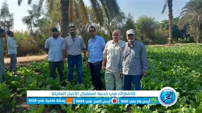 زراعة بني سويف تنظم ندوة إرشادية حول زراعة محصول بنجر السكر
