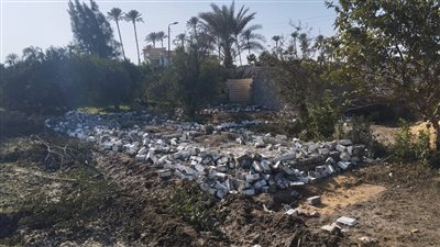 إزالة 106 حالات تعد بالبناء في المهد على الأراضي الزراعية ببني سويف