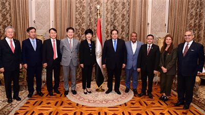 وكيل مجلس النواب يلتقي نائبة رئيس الجمعية الوطنية بكوريا الجنوبية