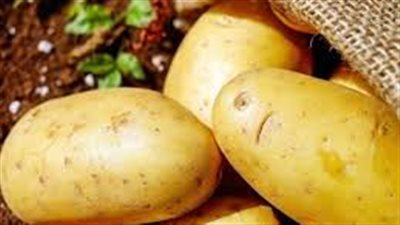 تعرف على مخاطر البطاطس ذات البراعم