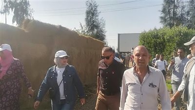 رئيسة مركز طلخا تشن حملة لإزالة تعديات في المهد