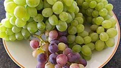 انطلاق مهرجان العنب بمحافظة الحناكية بمركز النخيل غدًا