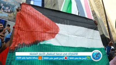 غدًا.. لجنة توثيق جرائم الاحتلال بـ 