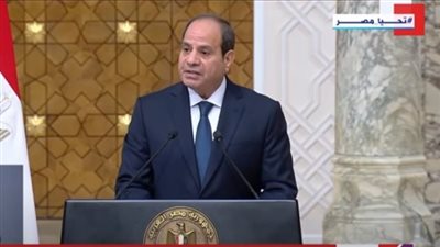 السيسي: دور مصر وجنوب السودان محوري في الأزمة السودانية (فيديو)
