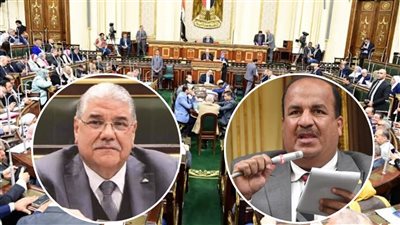 هل تؤثر مقاطعة المنتجات الأجنبية على الاقتصاد المصري؟