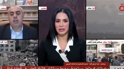 سفير فلسطين بالأمم المتحدة: 18 وكالة وقعت طلبًا بوقف حرب غزة (فيديو)