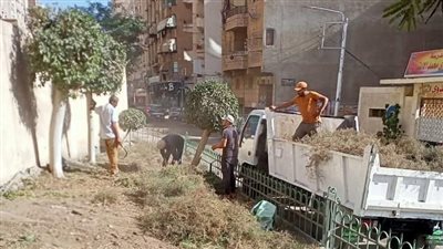 رفع 970 طن قمامة ومخلفات صلبة في الدقهلية