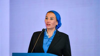 ياسمين فؤاد: ضرورة توحيد الصوت العربى من خلال منظمات المجتمع المدنى