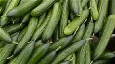 يعالج الانتفاخ.. تعرف على فوائد الخيار