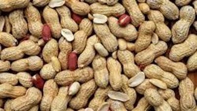 كل ما تريد معرفته عن الفوائد الفول السوداني