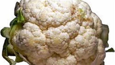 كل ما تريد معرفته عن القرنبيط