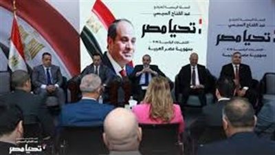 حملة السيسي تؤكد أنها ليس لديها أي نية لتأجيل الانتخابات الرئاسية