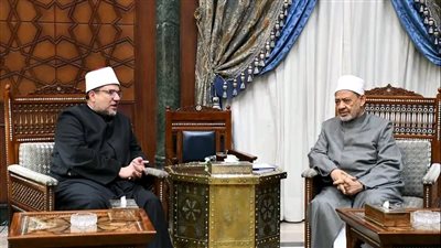 وزير الأوقاف والمفتي يدعمان مواقف شيخ الأزهر تجاه القضية الفلسطينية