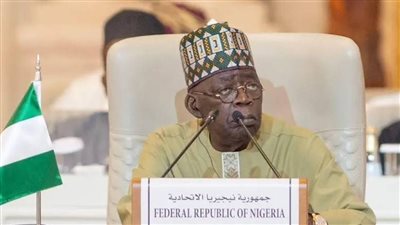 رئيس نيجيريا يلغي مشاركته في قمة مجموعة العشرين في جنوب إفريقيا