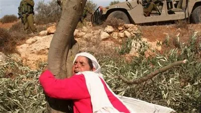 سياسي فلسطيني في حوار خاص لـ 