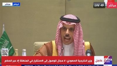 السعودية.. تشكيل لجنة من وزراء الخارجية العرب لإيصال أزمة فلسطين للمجتمع الدولي
