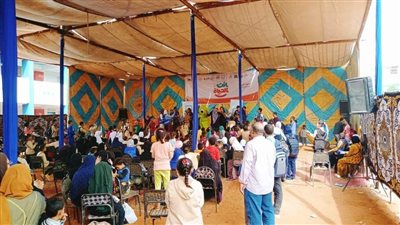 إقبال وتفاعل كبير مع أنشطة قصور الثقافة في ختام مبادرة 