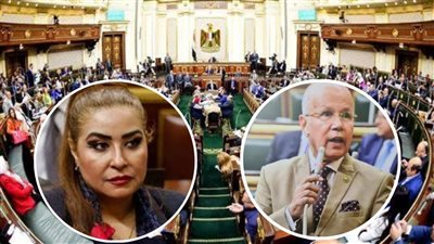 برلمانيون لـ 