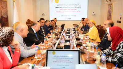 وزيرا البيئة والتنمية المحلية ومحافظ القاهرة يستعرضون مستجدات مشروع إدارة تلوث الهواء 