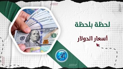 الدور المشبوه لجماعات الشر في الترويج للسوق السوداء.. شائعات عن الدولار وتهريب عملة