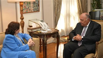 وزير الخارجية: الانتهاكات الإسرائيلية ترقى لجرائم حرب