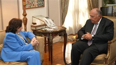 عاجل.. شكري يشدد على ضرورة الوقف الفوري لإطلاق النار واستدامة إيصال المساعدات لغزة