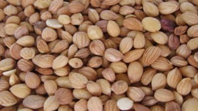 في عالم الجمال..المحلب ودوره الفعّال في تطويل الشعر