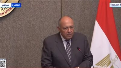 عاجل| تصريح جديد لـ سامح شكري بشأن الانتهاكات الإسرائيلية في غزة