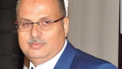 المنسق العام لحملة الرئيسي السيسي بالخارج: استعدادات مكثفة في المرحلة القادمة