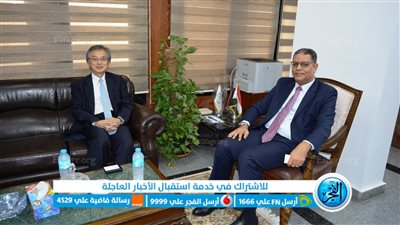 مصر واليابان تعززان التعاون في مجالات التعليم العالي والبحث العلمي