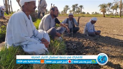 مزارعو عزبة رحيل بالفيوم يشكون ضعف مياه ري الأراضي الزراعية