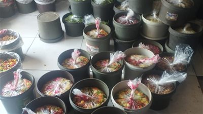 مراقبة الأغذية في الدقهلية تكثف حملاتها بالمرور على 350 منشأة 