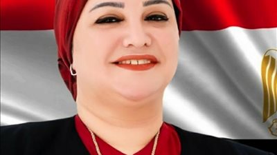 وكيل لجنة القوى العاملة: السيسي انتصر للعمال وله كل الدعم (صور)