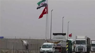 صحفيون أجانب يتفقدون جهود نقل المساعدات بمعبر رفح (فيديو)