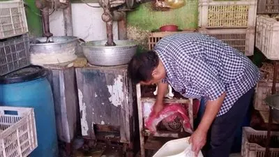 إعدام ٢٤٠ طن أغذية وضبط ١٧٤٤ منشأة مخالفة ضمن خطة المبادرة الرئاسية