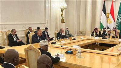 عاجل.. وزير الخارجية: القصف في غزة هدفه إجبار السكان على المغادرة لمصر