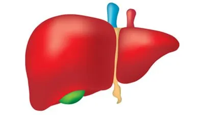 ‏ما هو مرض الكلى وما هو علاجه وكيف نتجنبه؟